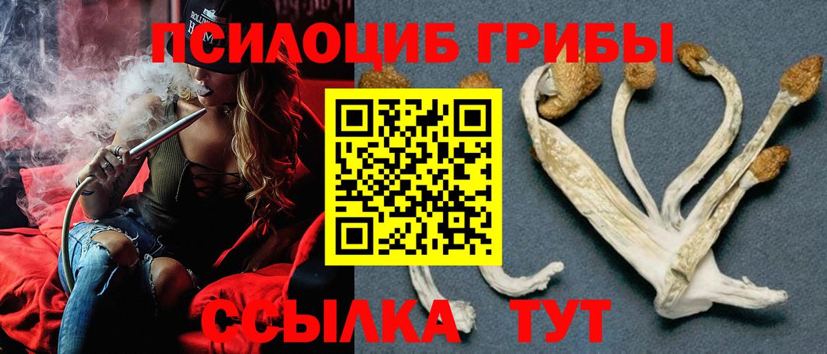 Кумертау  Галлюциногенные грибы мицелий  Вход с VPN  Псилоцибиновые грибы Cubensis 