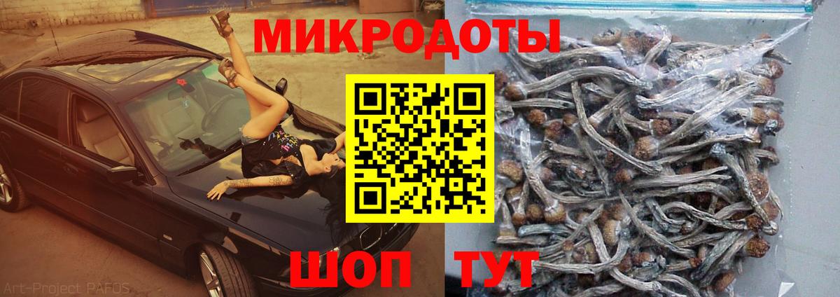Галлюциногенные грибы мухоморы Кумертау